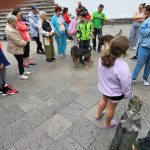 DIntVoluntSC25_ (11)